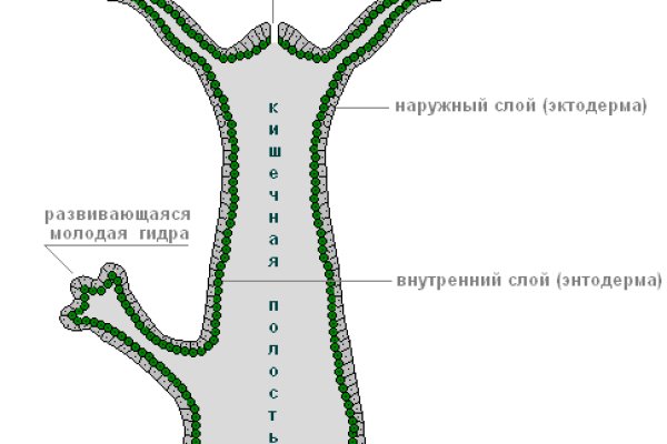 Как найти сайт кракен