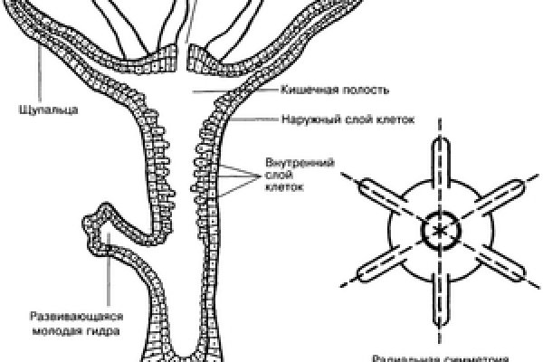 Маркетплейс кракен kraken