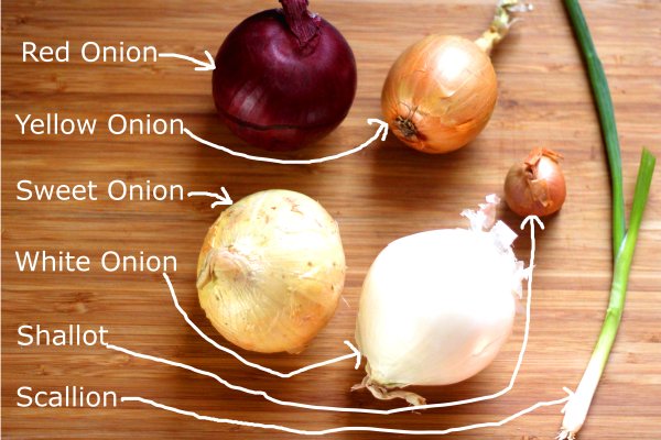 Kraken istand onion