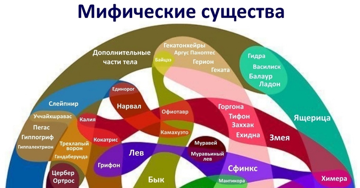 Что можно купить в кракене